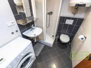 Pronájem bytu 1+kk, Praha, Radlická, 38 m2