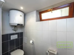 Pronájem bytu 1+kk, Praha, Radlická, 38 m2