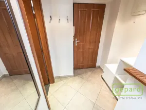 Pronájem bytu 1+kk, Praha, Radlická, 38 m2
