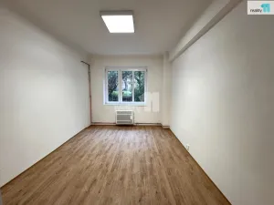Pronájem bytu 2+kk, Praha - Žižkov, Biskupcova, 45 m2