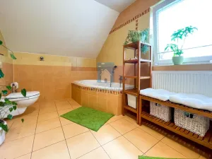 Pronájem rodinného domu, Zruč-Senec, Šikmá, 121 m2