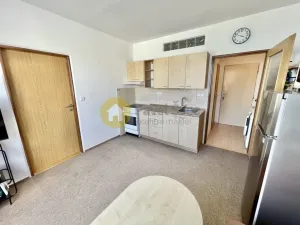 Pronájem bytu 2+kk, Strakonice - Strakonice II, Luční, 37 m2