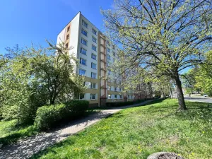 Pronájem bytu 1+1, Ústí nad Labem - Ústí nad Labem-centrum, Stará, 36 m2