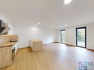 Pronájem bytu 1+kk, Jablonec nad Nisou - Kokonín, Krkonošská, 52 m2