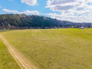 Prodej pole, Vlastějovice, 20369 m2