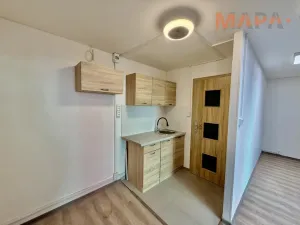 Pronájem komerční nemovitosti, Most, Františka Malíka, 28 m2