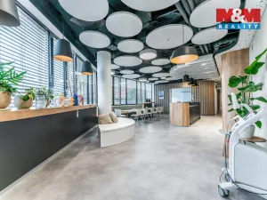 Pronájem obchodního prostoru, Praha, Jihlavská, 30 m2