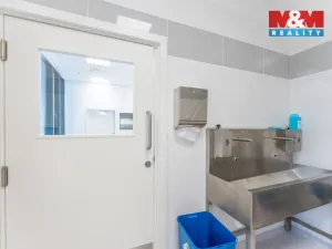 Pronájem komerční nemovitosti, Praha, Jihlavská, 30 m2