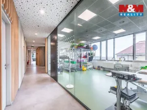 Pronájem komerční nemovitosti, Praha, Jihlavská, 30 m2
