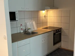 Pronájem bytu 1+kk, Brno - Židenice, Bořetická, 32 m2