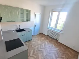 Prodej bytu 1+1, Praha - Nusle, Hvězdova, 49 m2