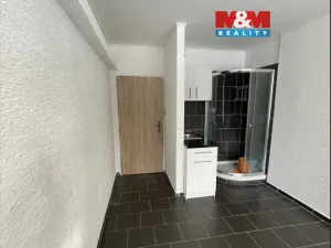 Prodej bytu 1+kk, Komárov, Okružní, 17 m2