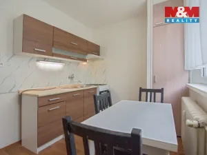 Pronájem bytu 1+kk, Mladá Boleslav - Mladá Boleslav II, Na Radouči, 39 m2