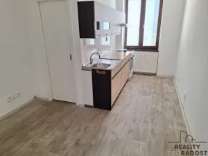 Pronájem bytu 1+1, Děčín, Horská, 38 m2