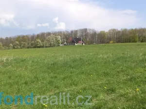 Prodej pole, Chotěbuz, 8787 m2