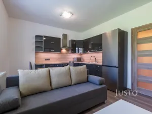 Pronájem bytu 2+kk, Staré Město, Mahenova, 45 m2