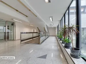 Pronájem kanceláře, Praha - Libeň, Sokolovská, 114 m2