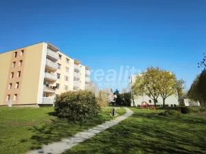 Pronájem bytu 2+1, Náměšť nad Oslavou, 55 m2