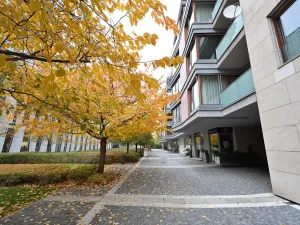 Pronájem bytu 2+kk, Praha - Karlín, Rohanské nábřeží, 77 m2