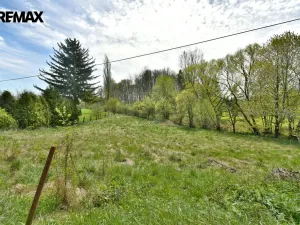 Prodej louky, České Meziříčí, 1214 m2