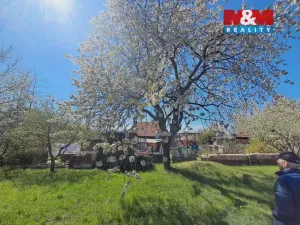 Pronájem zahrady, Přeštice, 611 m2