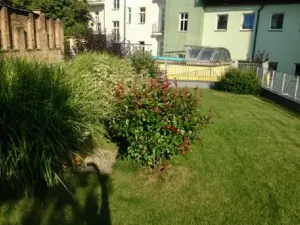 Pronájem bytu 1+kk, Praha - Žižkov, 32 m2