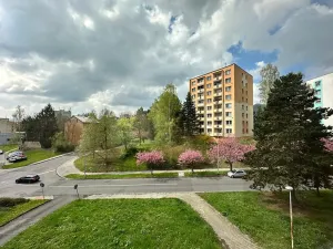 Pronájem bytu 1+1, Děčín, U Tvrze, 36 m2