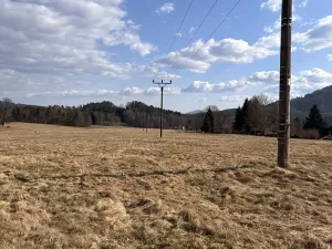 Prodej louky, Cvikov, 35271 m2