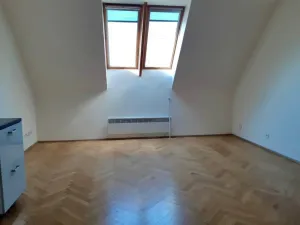 Pronájem bytu 2+kk, Praha - Žižkov, 52 m2