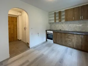 Pronájem bytu 1+1, Litvínov - Chudeřín, Horská, 42 m2