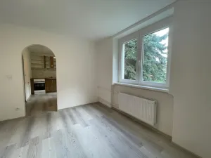 Pronájem bytu 1+1, Litvínov - Chudeřín, Horská, 42 m2