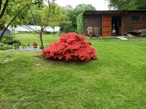 Prodej chaty, Ohnišov - Zákraví, 65 m2