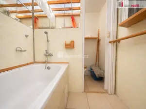 Prodej bytu 1+1, Ústí nad Labem - Neštěmice, Seifertova, 32 m2