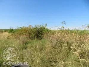 Dražba zahrady, Grunta, 927 m2