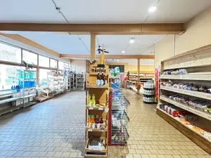 Pronájem obchodního prostoru, Hulín, Višňovce, 402 m2