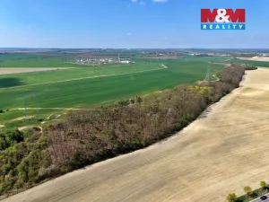 Prodej lesa, Mochov, 4629 m2