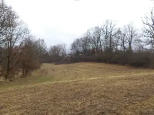 Dražba louky, Mladá Vožice, 26557 m2