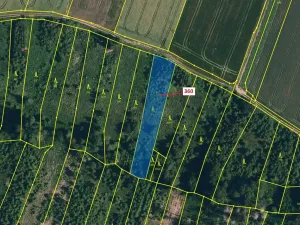 Dražba lesa, Chotěbudice, 1822 m2