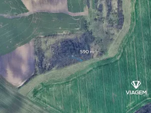 Prodej podílu pole, Bošovice, 516 m2
