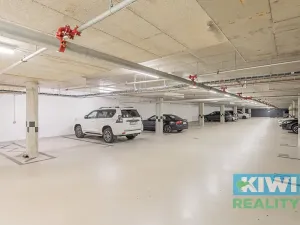 Pronájem bytu 2+kk, Ostrava, Důlní, 58 m2