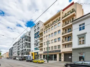 Prodej bytu 3+kk, Praha - Karlín, Sokolovská, 110 m2