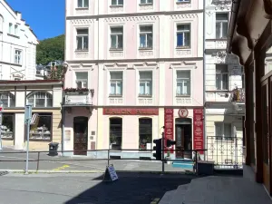 Prodej bytu 2+kk, Karlovy Vary, Zámecký vrch, 59 m2