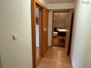 Pronájem bytu 4+kk, Most, Jaroslava Seiferta, 90 m2