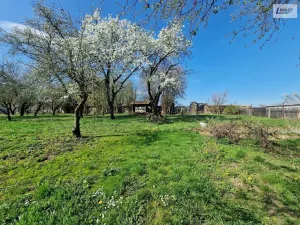 Prodej rodinného domu, Hostomice - Radouš, 300 m2