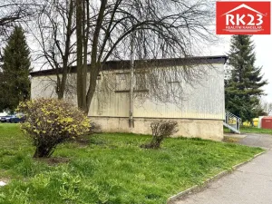 Pronájem obchodního prostoru, Planá, Fučíkova, 200 m2