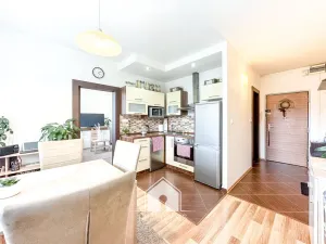 Prodej bytu 1+1, Děčín, Želenická, 36 m2