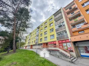 Prodej bytu 1+1, Děčín, Želenická, 36 m2