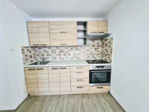 Pronájem bytu 1+1, Ústí nad Labem - Ústí nad Labem-centrum, Koněvova, 52 m2