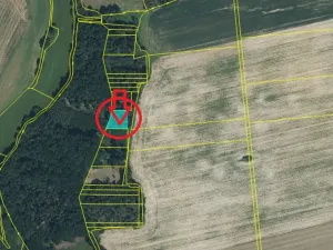 Prodej podílu lesa, Puclice, 12856 m2