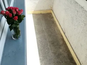 Pronájem bytu 2+1, Ostrava - Hrabůvka, Dr. Martínka, 50 m2